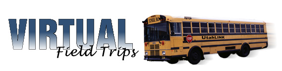 bus3.jpg